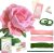 300pcs Pipe Cleaners Craft Supplies DIY Roses Pink Fluffy Pipe Cleaners Green Bouquet Supplies Pipe Cleaners Bulk DIY Rose Flower Bouquet Kit Chenille Stems for Wedding Gift, Holiday Decoration