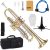 ZEFF Bb Standard Trumpet for Beginners,Trumpet for Student with Hard Case,7C Mouthpiece,Cleaning Cloth,Gloves,Brass Musical Instruments for Kids and Adults,White Brass Pitch Pipe