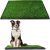 Downtown Pet Supply Dog Grass Pad with Tray, 20 x 30 – Outdoor and Indoor Potty System for Dogs with Replaceable Synthetic Grass Pee Turf – Portable and Waterproof Turf Dog Potty