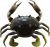 Savage Gear TPE 3D Crab Fishing Bait, 1 oz, Natural Peeler, Durable TPE Composition, Fast Sinking, Lifelike Bouncing Action