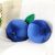 Beeveer Decorative Cute Fruit Plush Pillow Kawaii Hugging Plushies Gift Soft Novelty Pillow Toy Cherry Blueberry Olive Tomato Peach Shaped Cushion Seat Decor for Kids Girl Home (Blueberry)